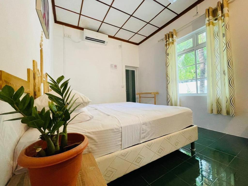 Fehendhoo Stay Exteriér fotografie